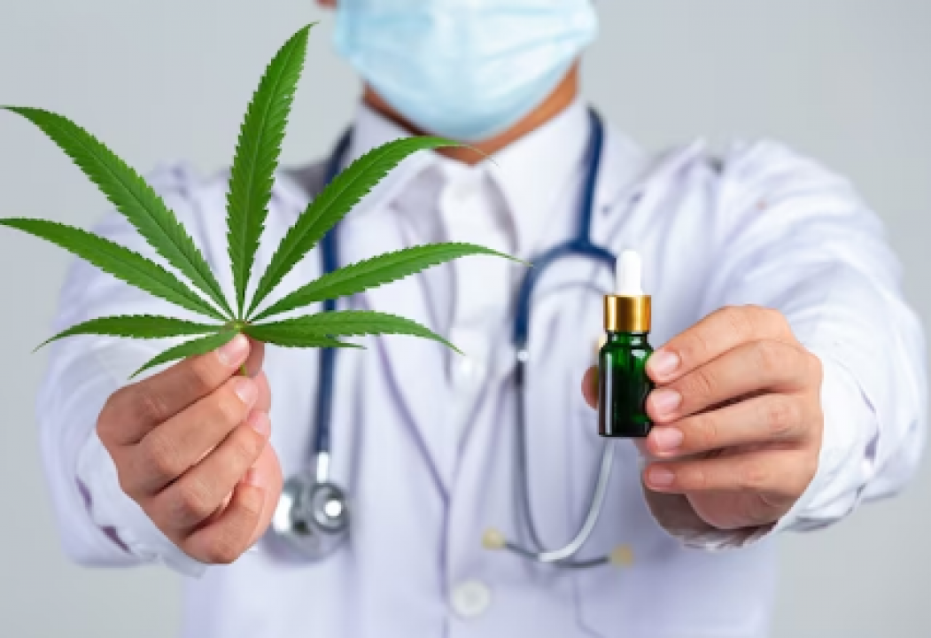Cultivo da Cannabis para tratamentos de saúde é autorizado à Associação do RN; Justiça determina registro na Anvisa