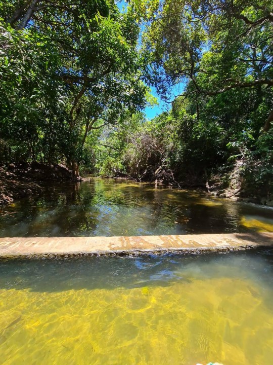 Projeto de mapeamento do Rio Pitimbu é tema de audiência pública promovida pelo Idema