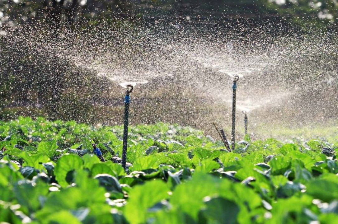 Mossoró receberá Mutirão para Dispensa de Licença Ambiental para agricultura irrigada