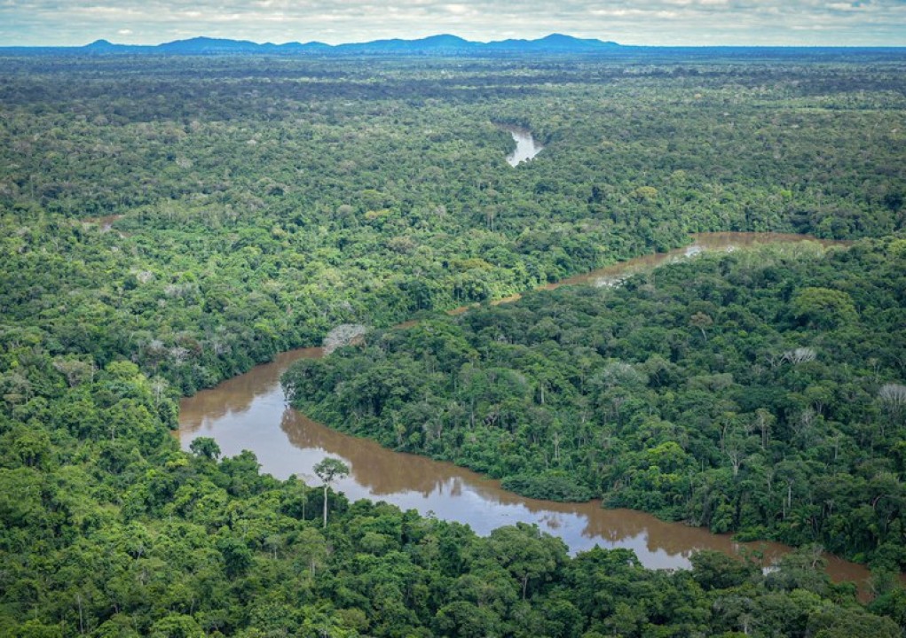 Fundo Amazônia recebe doações da Suíça e dos Estados Unidos