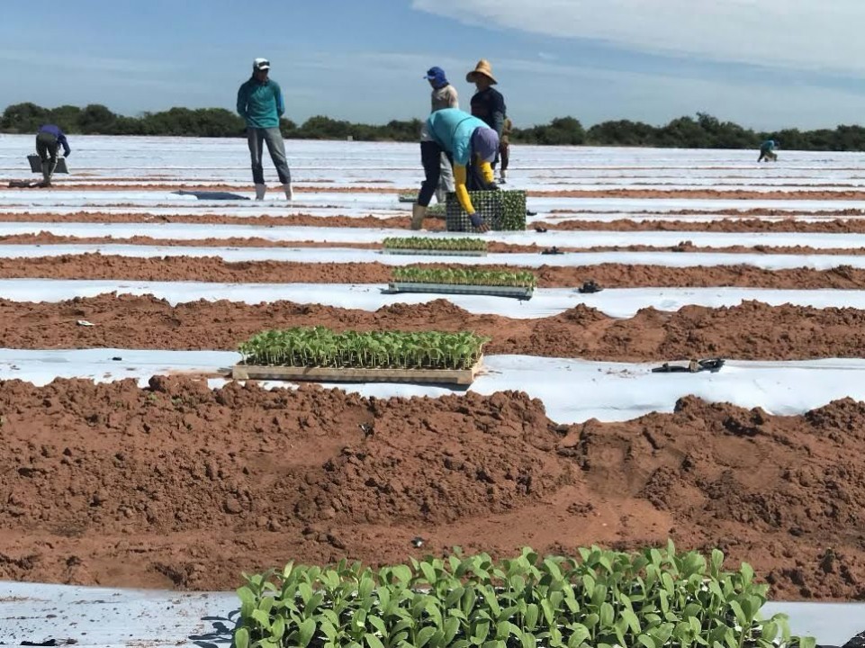 Neoenergia Cosern convoca irrigantes e aquicultores na região central potiguar para Revisão Cadastral