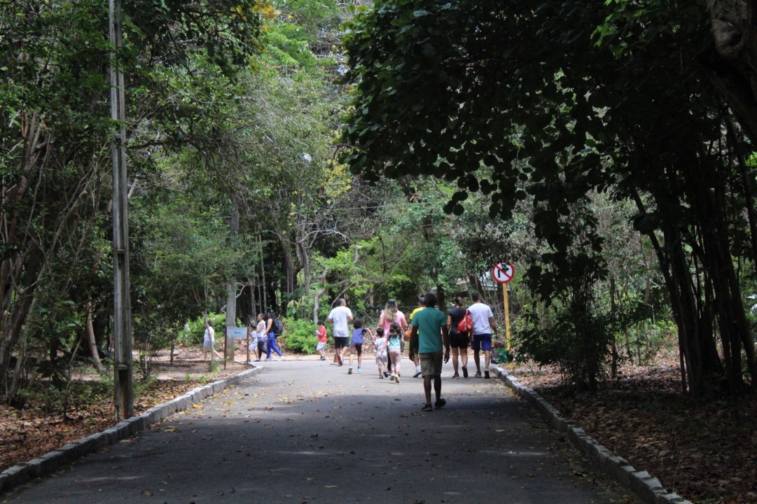 Idema divulga horário de funcionamento do Parque das Dunas e do Cajueiro de Pirangi durante o período de Carnaval