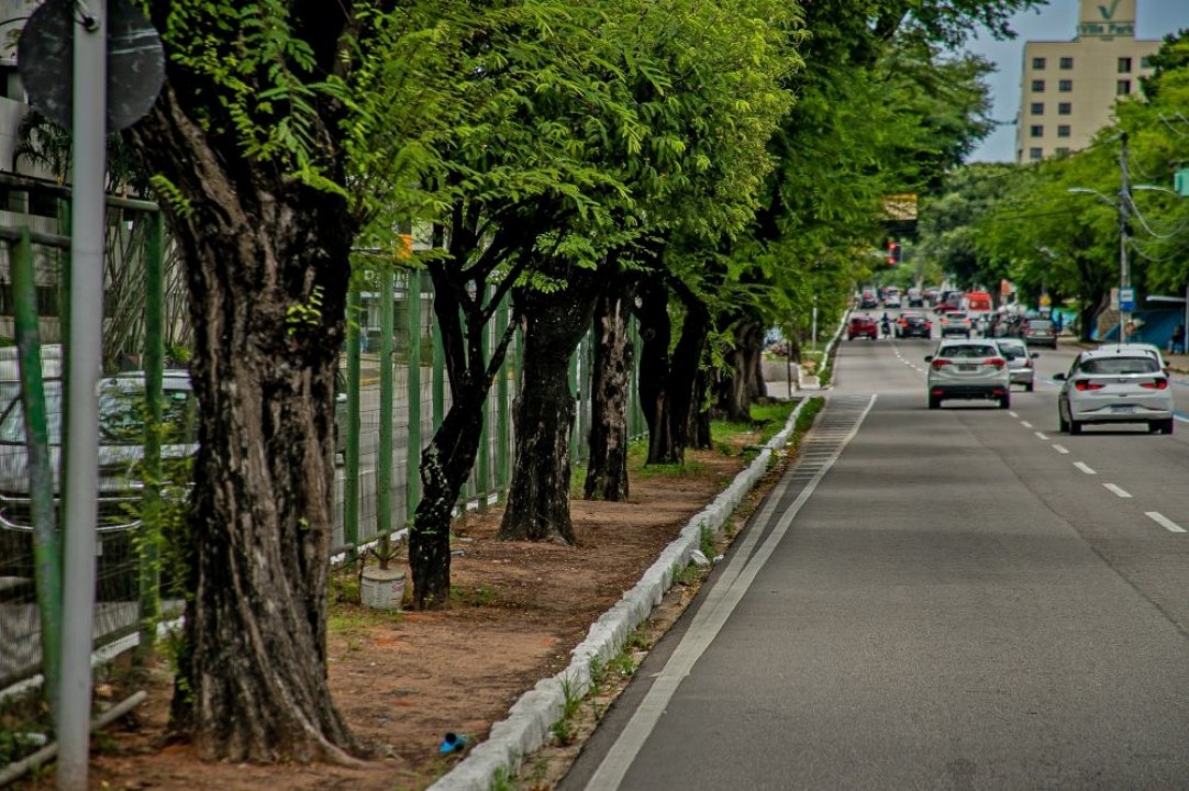 Em Natal, av. Hermes da Fonseca é parcialmente interditada nesta segunda-feira (04)