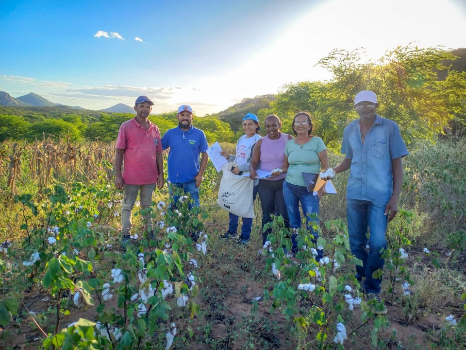 Lançamento da Safra/2024 do algodão agroecológico potiguar dá início ao calendário de cultivo, beneficiamento e comercialização do produto  