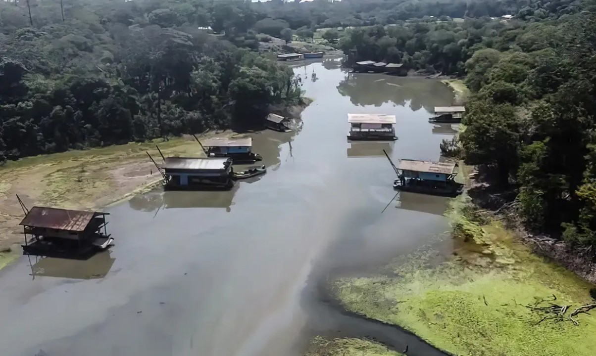  Garimpo na Amazônia: Estudo revela impacto alarmante nas terras indígenas