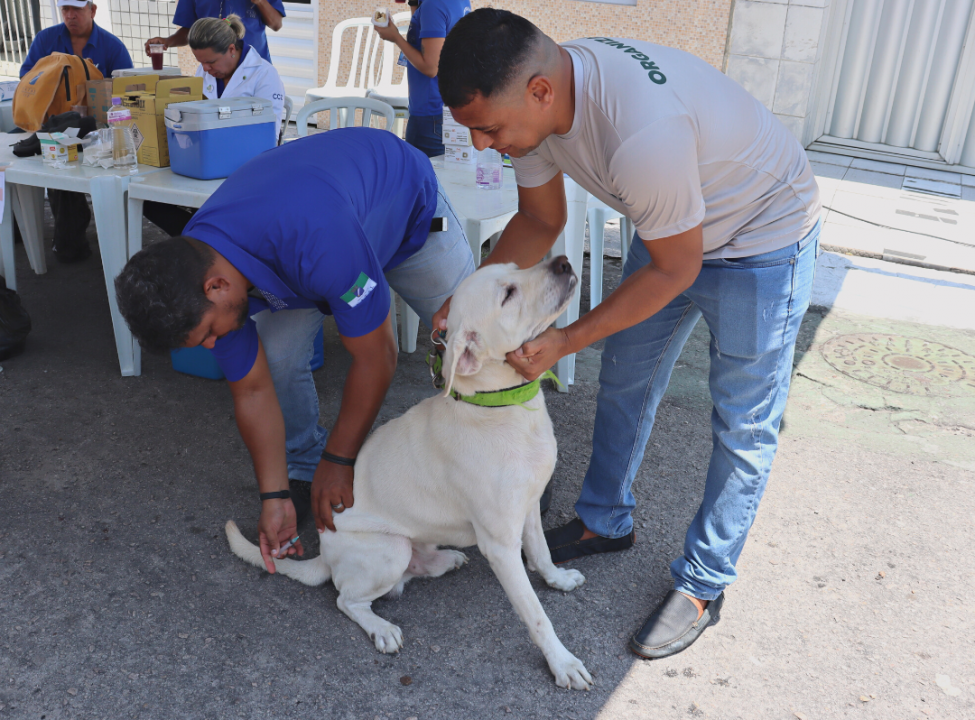Prefeitura de Natal faz chamada pública para Hospital Veterinário Público
