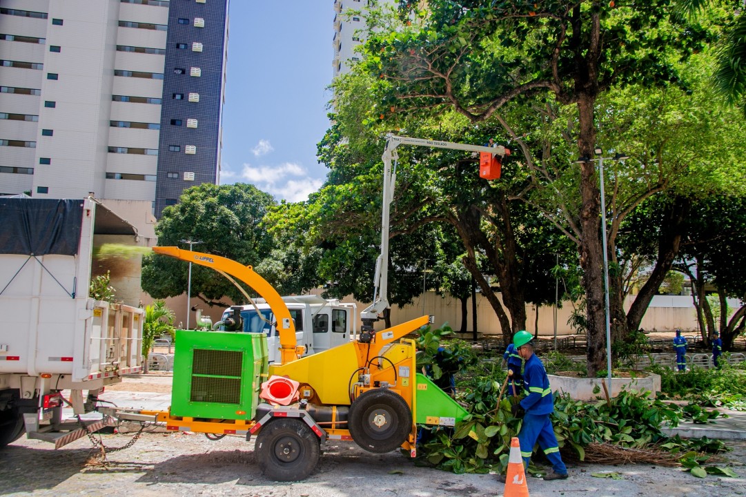 Semsur realiza manejo arbóreo preventivo em Natal para o período chuvoso Semsur realiza manejo arbóreo preventivo em Natal para o período chuvoso