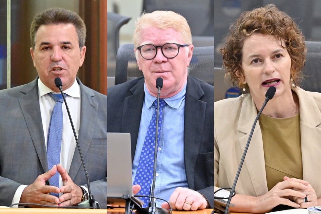 Líderes parlamentares discutem investimentos, infraestrutura e democracia na ALRN