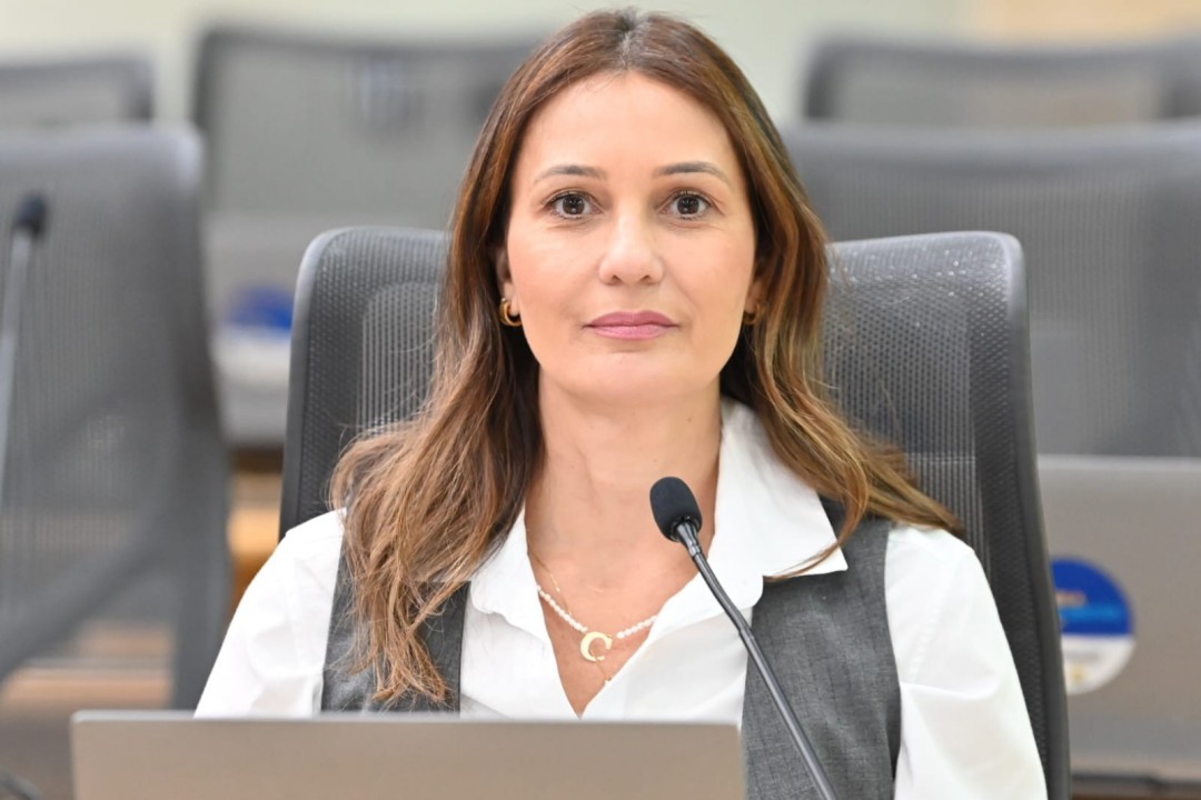 Cristiane Dantas cobra transparência em renovação da concessão de energia elétrica no RN