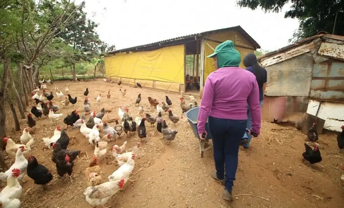 Novo programa Agro+RN promove sustentabilidade no setor rural do RN