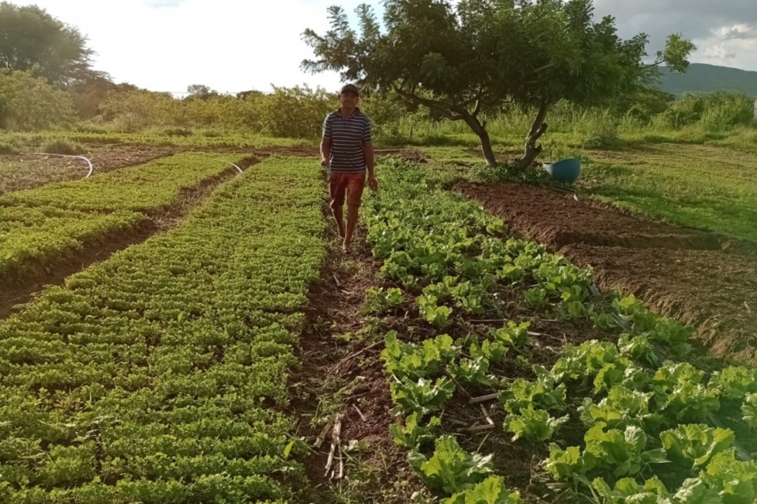 RN é o segundo estado do país que mais executou projetos produtivos do Fomento Rural